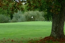 Course [-381970.jpg]