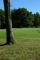 Course [-381980.jpg]