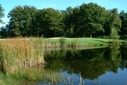 Course [-381981.jpg]