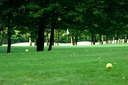 Course [belesbat00-381613.jpg]