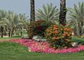 COURSES [emirates09-174535.jpg]