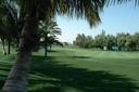 COURSES [emirates09-174539.jpg]