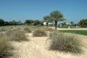 COURSES [emirates09-174542.jpg]