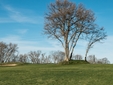 COURSE [valdeluz15-286444.jpg]