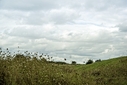COURSE [pleneuf15-296522.jpg]