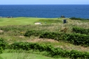 COURSE [royalportrush19-374802.jpg]
