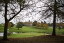 COURSE [fancourt21-404306.jpg]