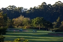 COURSE [fancourt21-404406.jpg]
