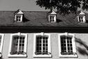 TRIER [trier21-414987.jpg]