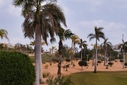 COURSE [allegria22-422206.jpg]