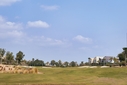 COURSE [allegria22-422214.jpg]