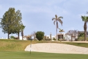 COURSE [allegria22-422220.jpg]