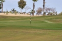 COURSE [allegria22-422228.jpg]